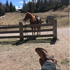 Trekking a cavallo: in vacanza con l’amico a 4 zoccoli